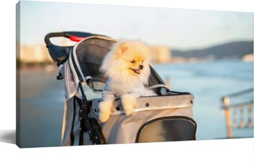 Bathroom Wall Art Decor for Bedroom Living Room Small Canvas Wall Art Framed Spitz Pomeranian puppy a pram strolling the beach Prints Artwork Painting Pictures Kitchen Office