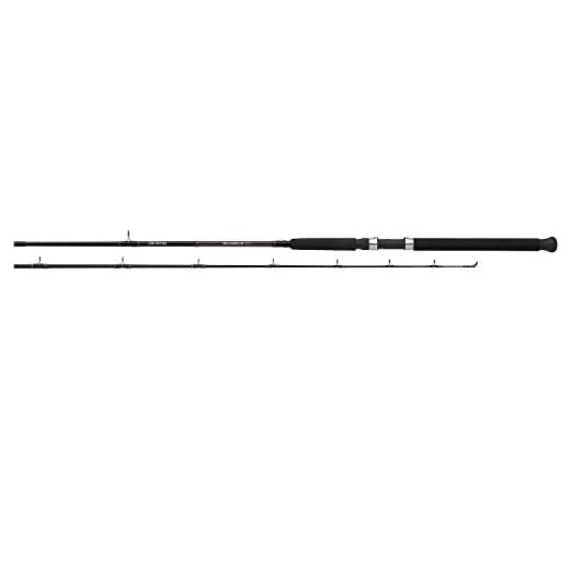 ACCUDEPTH TROLLING Rod, Sections= 1, Line Wt.= 10-25