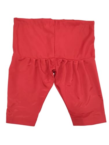 Image of BookMyCostume Kashmiri Indian State Fancy Dress Costume for Girls and Females 14 years /Adult S