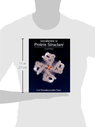 Introduction to Protein Structure - Image 3