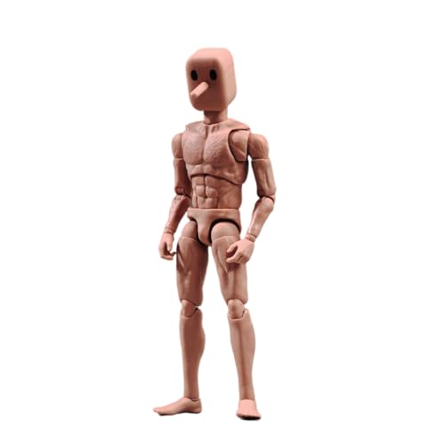 Fremego 1/12 Scale Male Action Figure,6inch Super Flexible Strong Muscular Figure Body Square Head Miniature Action Figure Doll (NT-02W Wide Shoulder Slim Body)