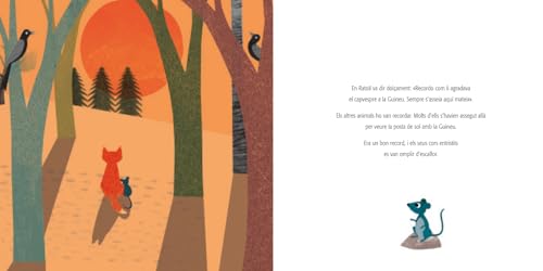 L'arbre dels records – vue 8