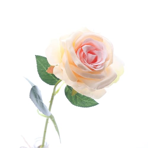  o [Yԑi20{Zbgj KN ԑ CeA A[gt[  v[g ͂Ȃ ̓v[g (VpsN)