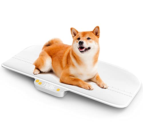 Báscula digital para bebés y mascotas, 65 libras (± 0.1 onzas), báscula digital para bebés recién nacidos y bebés, función de sujeción, adecuada para mascotas y bebés Cover