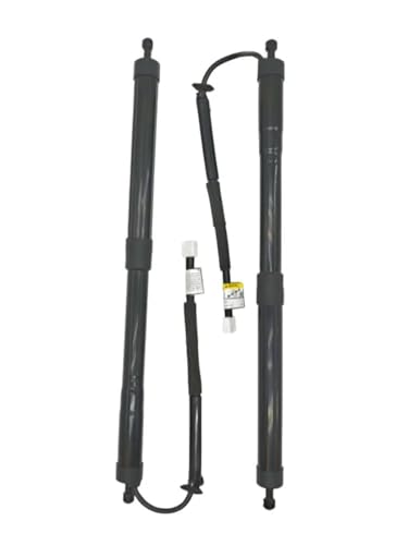 Vérin hayon arrière électrique 6892048061 pour Lexus RX350L