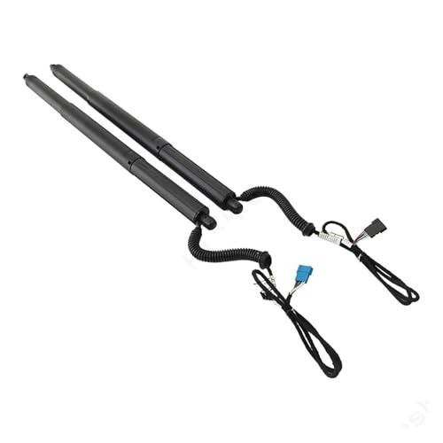 Support de levage électrique de hayon pour charger facilement votre BMW X3 F25
