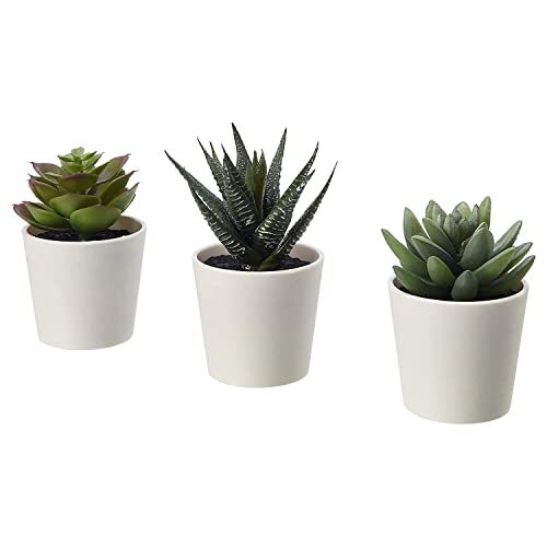 PAPERI Artificial Succulent Plants for Home Décor – Indoor Fake Succulent Plant Flowers With Pot, Bathroom Decorations Items, Small Plastic Trees, Decoration Flower For Living Room Table & Office Desk (B0B7DYF28K) Amazon Price History, Amazon Price Tracker