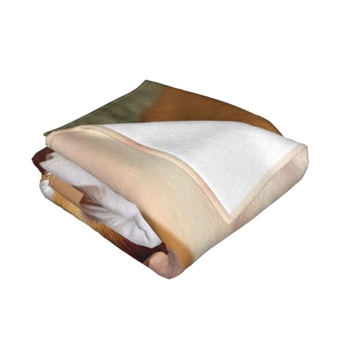 Couverture douce cochon d'Inde : cadeau parfait en microfibre