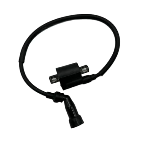 Bobine d'allumage 250cc pour Jianshe JS250 Mountain Lion quad Wilderness Trail FG-802000-0