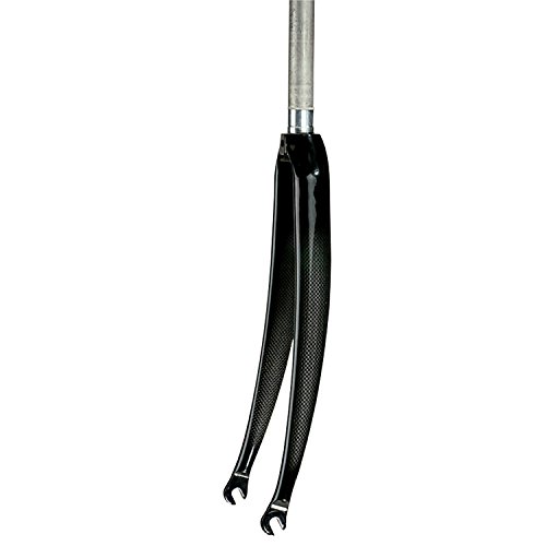 nashbar 1 inch carbon fork