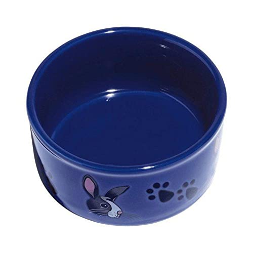 10 Best Rabbit Food Bowls in 2020 (Reviews and Guides)