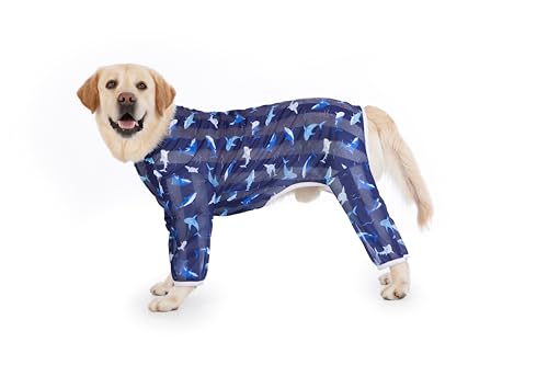 Kukaster Hundebody Nach Op