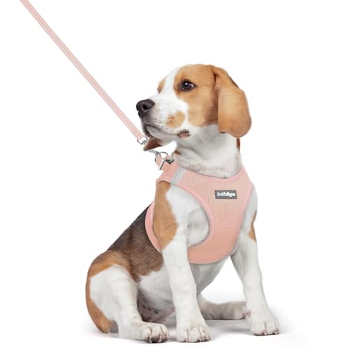 Image of rabbitgoo Dog Harness Medium Sized and Leash Set, Step-in Puppy Pet Vest