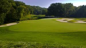 Creeping Bentgrass - 5 Pounds