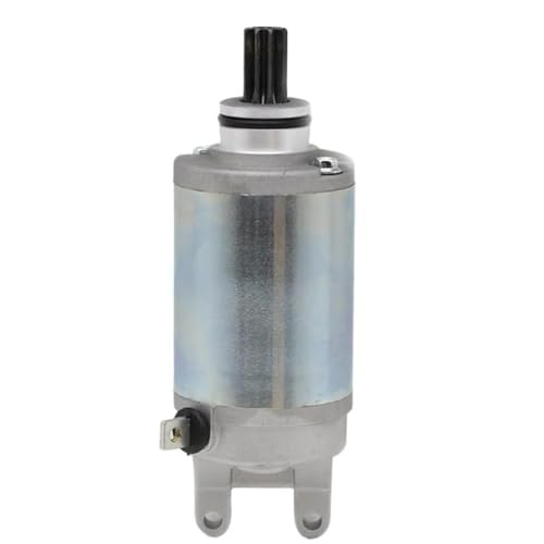 Démarreur 31100-11D00-000 GSXR250 CJ GJ72A GSX250 Across 12V