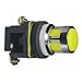 30mm Push Button Body, Metal, Flush, Illuminated, LED, Momentary, 230VAC, Yellow (Requires Auxiliary Contact Block for Proper Operation)