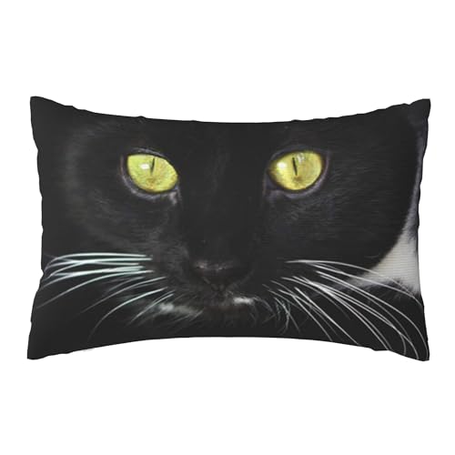 ʃvbVJo[A_炩ȁA20x30C`Axbh\t@ɍœKi̍Ɣ̔LAFځA傫ȂЂ̃PAj