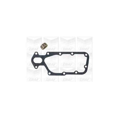 Puleggia Pompa Acqua Dayco APV2978 - Per Citroën C4 Picasso I, Compatibile Con Codici OE