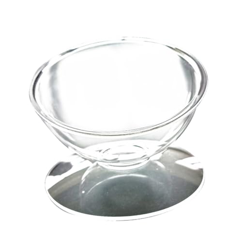 HANABASS 2-Pack Cat Dog Feeding Bowl Raised Acrylic Bowl Design Pet Food Storage Skid-Resistant