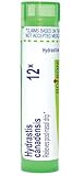 Boiron Hydrastis Canadensis 12X Homeopathic Medicine for Post-Nasal Drip - 80 Pellets