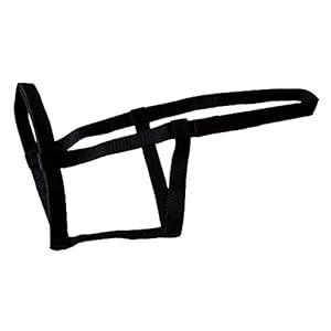 Rhinegold (Metal Free) Field Safe Headcollar