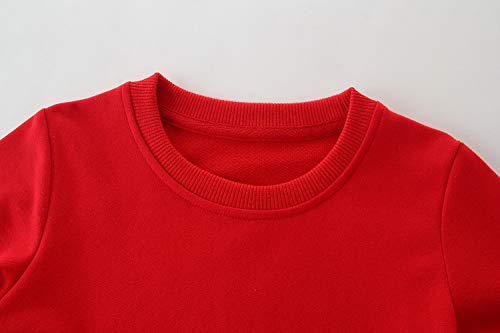 Image of AIWUHE Toddler Cotton Sweatshirt Boys Girls Pullover Long Sleeve Tops 2-6Y