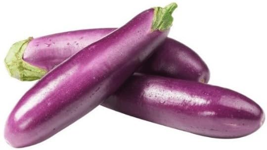 Willvine Brinjal/Eggplant Vegetable-NST-3V-image-36