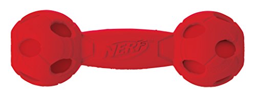 Nerf Dog Hundespielzeug Squeak Barbell, Hantel mit Quietscher, farblich sortierte Lieferung grün oder rot, 17,6cm