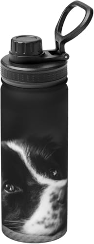  ^fM X|[c{g {[_[ R[ q XeX d\ ۉ ۗ ԍڃJbv g 530ml  ^ Rɂ 􂢂₷  ʋ ԗp v[g