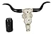 Ebros Gift Texas Longhorn Steer Cattle Cow Skull Wall Mounted Hanging Plaque Figurine 21