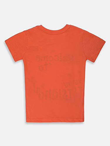 Image of Lil Tomatoes Boys Cotton Lycra T-Shirts