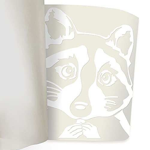 Image of WIRESTER 6 inch Clear Vinyl Decal Sticker Decoration for Car Window (Or Any Flat Surface) - Common Raccoon