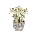 Photo Gallery floristrywarehouse snowdrops fiori artificiali in vaso con neve 18 cm Photo Gallery floristrywarehouse snowdrops fiori artificiali in vaso con neve 18 cm