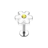 Daisy Labret 316L Surgical Steel (Silver)