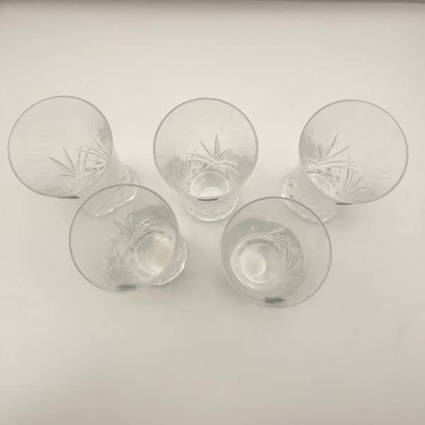 Amazon.co.jp: HOYA CRYSTAL HOYA Crystal Glass, Set of 5 Guests