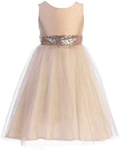 Little Girls Sleeveless Tulle Holiday Christmas Thanksgiving Flower Girl Dress