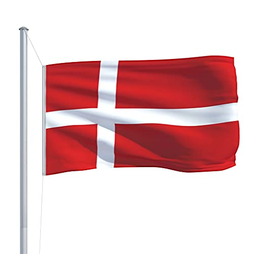 Drapeau Danemark 90x150 cm en polyester avec œillets pour extérieur - 4