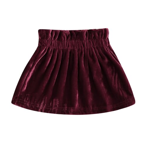 Baby Girls Velvet Skirt Infant A-Line Pleated Skirt Toddler Princess Skirt Cute Fall Winter Party Clothes (Wine Red, 2-3 Years)
