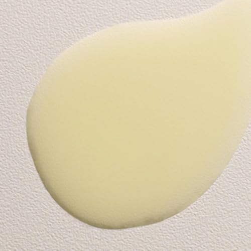Image of Davines DEDE /Leave-In Hair Mist, Lightweight Conditioner for All Hair Types - Frequent Use Spray to Detangle, Moisturize, and Remineralize with White Hibiscus, Weightless
