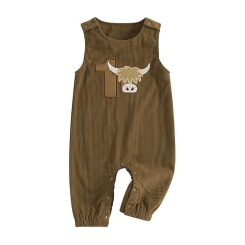 MAHUAOYIXI Baby Boy Birthday Embroidered Outfit Cover