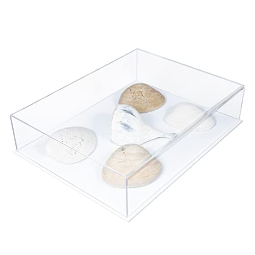 Better Display Cases Versatile Clear Acrylic Display Case - Medium Rectangle Box with White Base 13