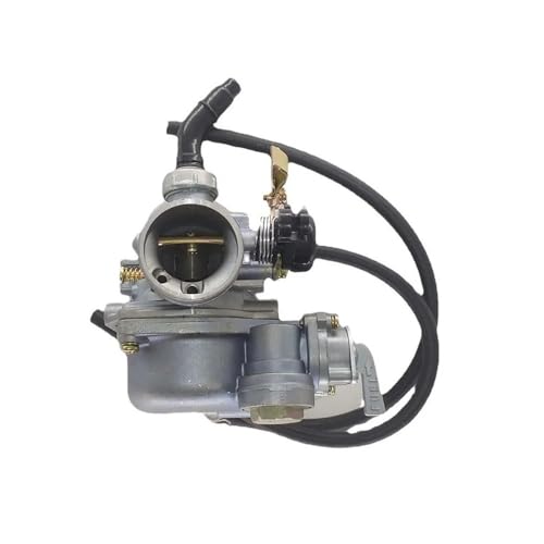 Carburateur PZ19 contre les calages de Dirt Bike et Quad 110cc