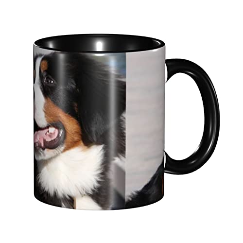 KȌ }OJbv R[q[Jbv H  J[}O ^u[ Cup  HJbv ܂Jbv  lC aMtg vw Jbv 蕨 v[g nӃRbv 330ml