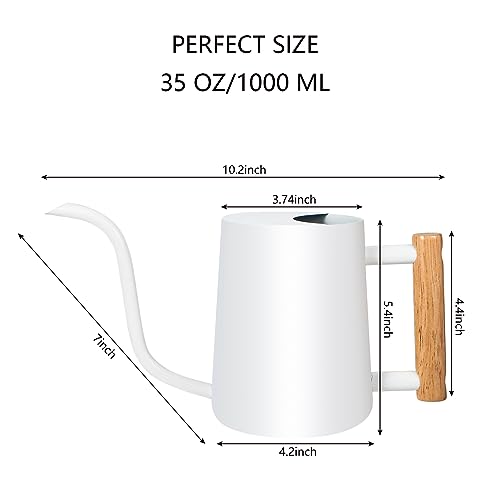 Image of Watering Can Indoor Plants, 35oz Small Stainless Steel Metal Watering Can Modern Decorative Watering Pot with Long Spout for Indoor House Plant Bonsai Outdoor Garden Flowers -White