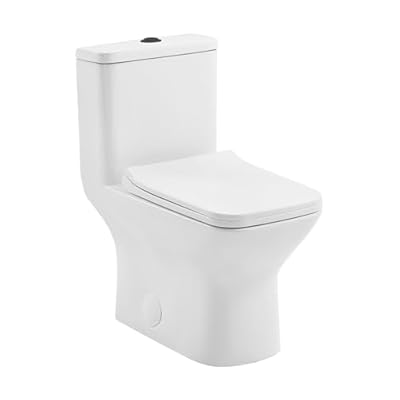 Charme One Piece Square Toilet Dual Flush, Black Hardware