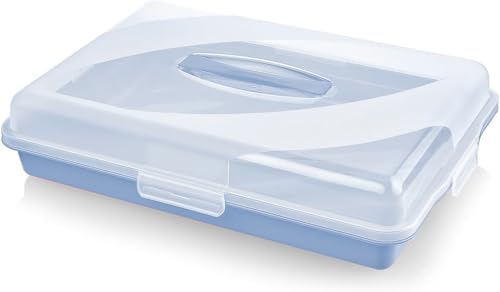 Best House | Plastic Cake Storage Box | SKY BLUE | 1 Pc | BPA Free | Cake and Pastry Carrier With Handle | Rectangular Lockable Food Container - L 45cm x W 30cm x H 10cm, Pack of 1