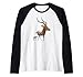 Impala su Safari in Kenya/Africa Maglia con Maniche Raglan