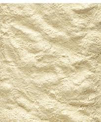 VERSELE-LAGA - NutriBird A21 - Handaufzuchtfutter für Jungpapageien - Amazonenpapagei, Palmkakadu, Großsittich - Eiweißreich - 3kg