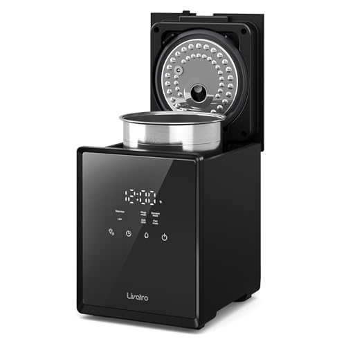 Humidificador de vapor caliente de acero inoxidable de 3 Imagen de Humidificador de vapor caliente de acero inoxidable de 3