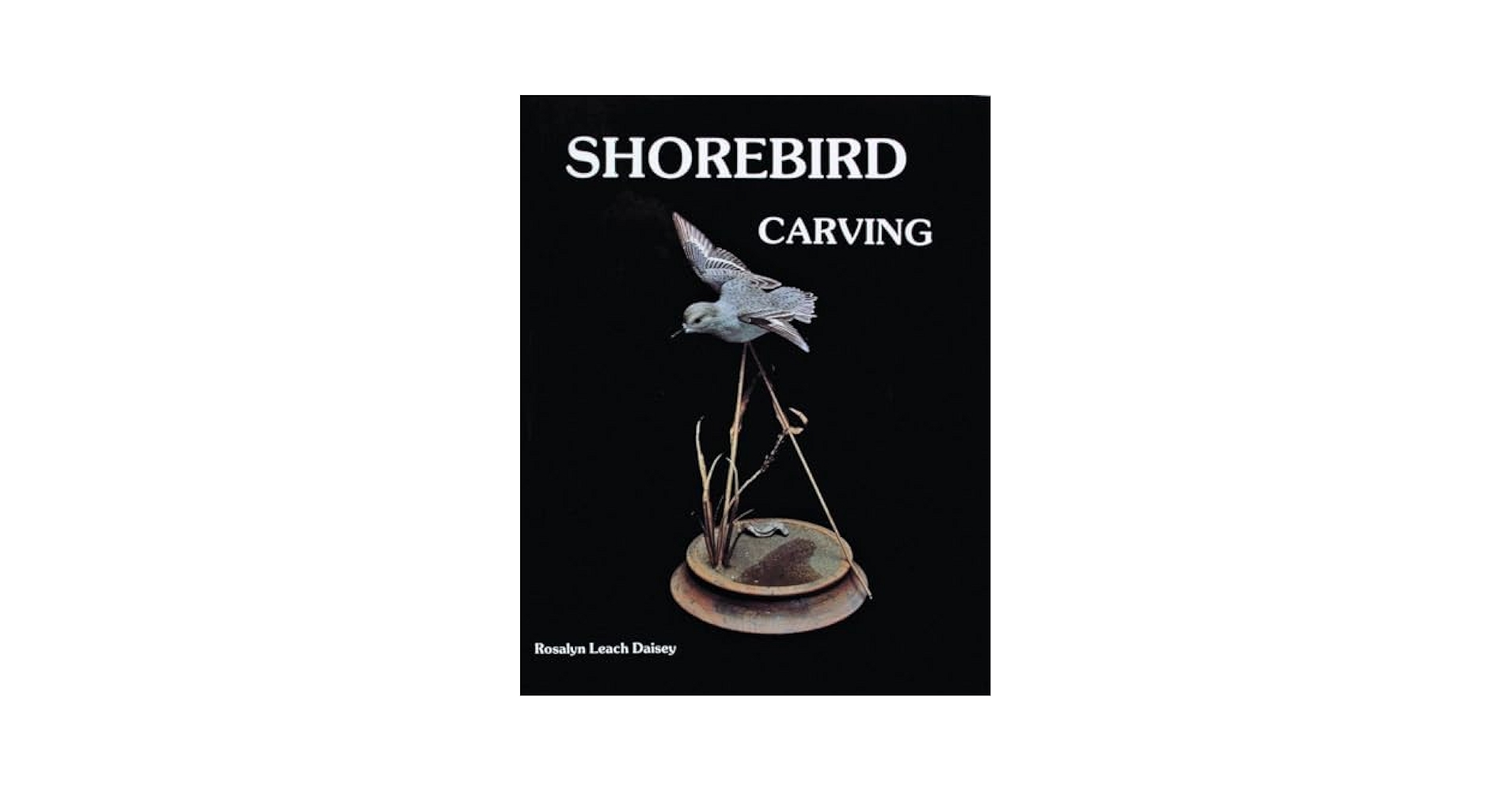 Shorebird Carving: Rosalyn Leach Daisey: 9780887402197